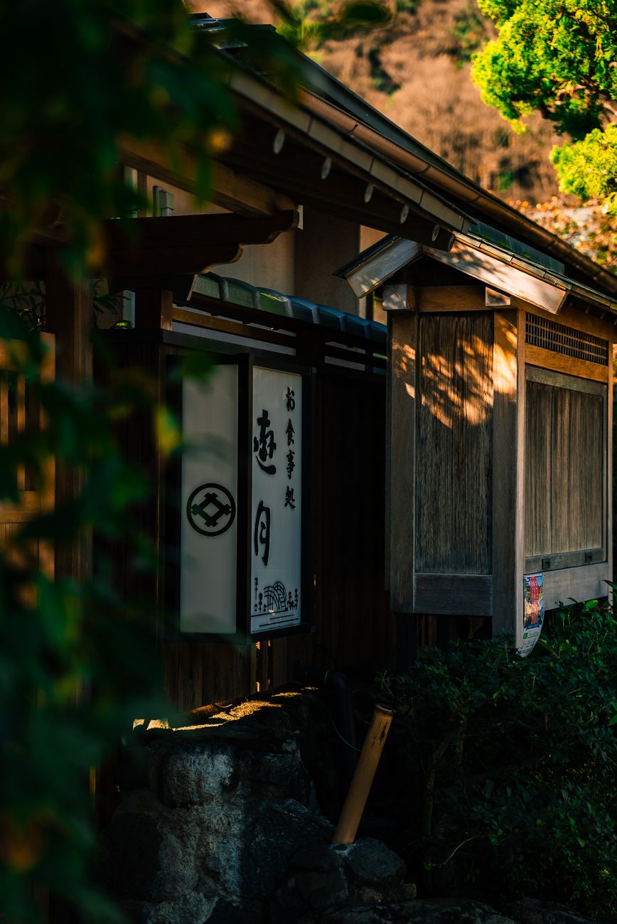 Traditional Japanese wooden architecture surrounded by moss gardens
